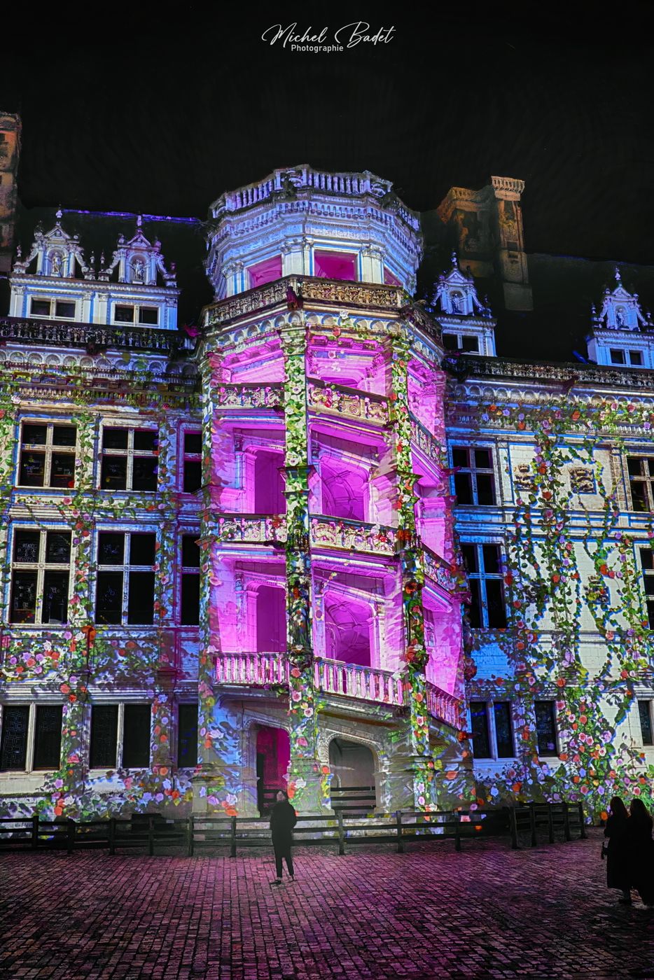 Royal castle of Blois, France
