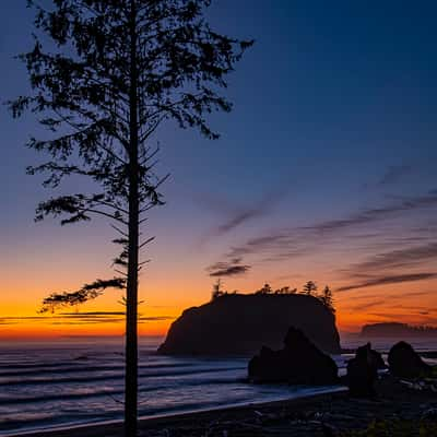 Ruby Beach Sea Stacks at Dusk, USA