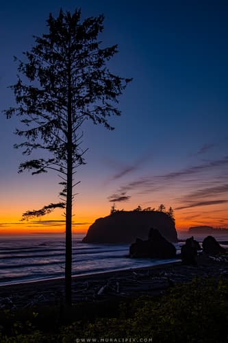 Ruby Beach Sea Stacks at Dusk