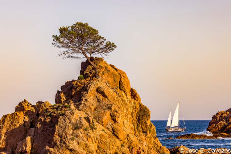Punta de Sa Llonga, Tossa de Mar