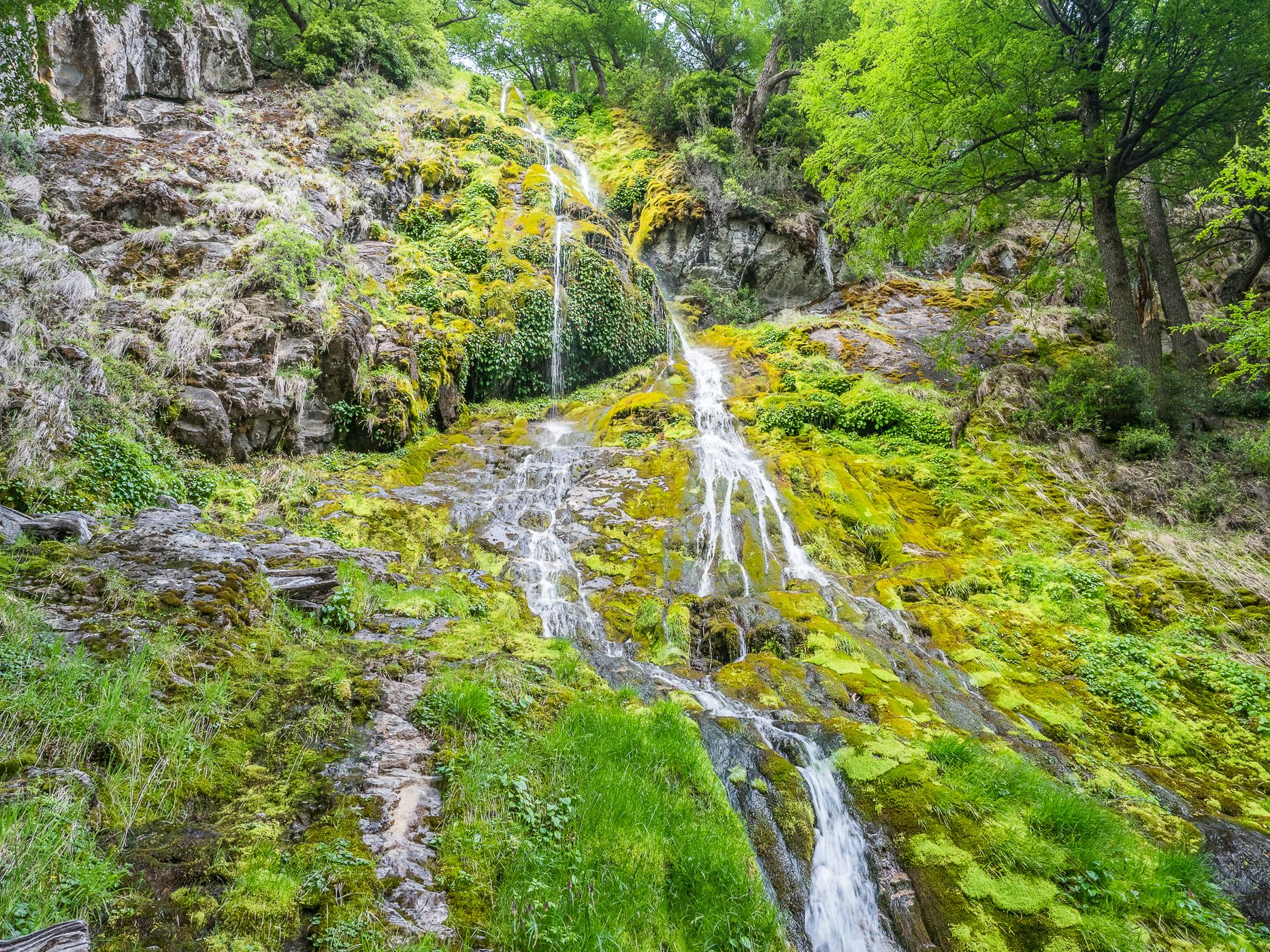 Salto del anillo, Argentina