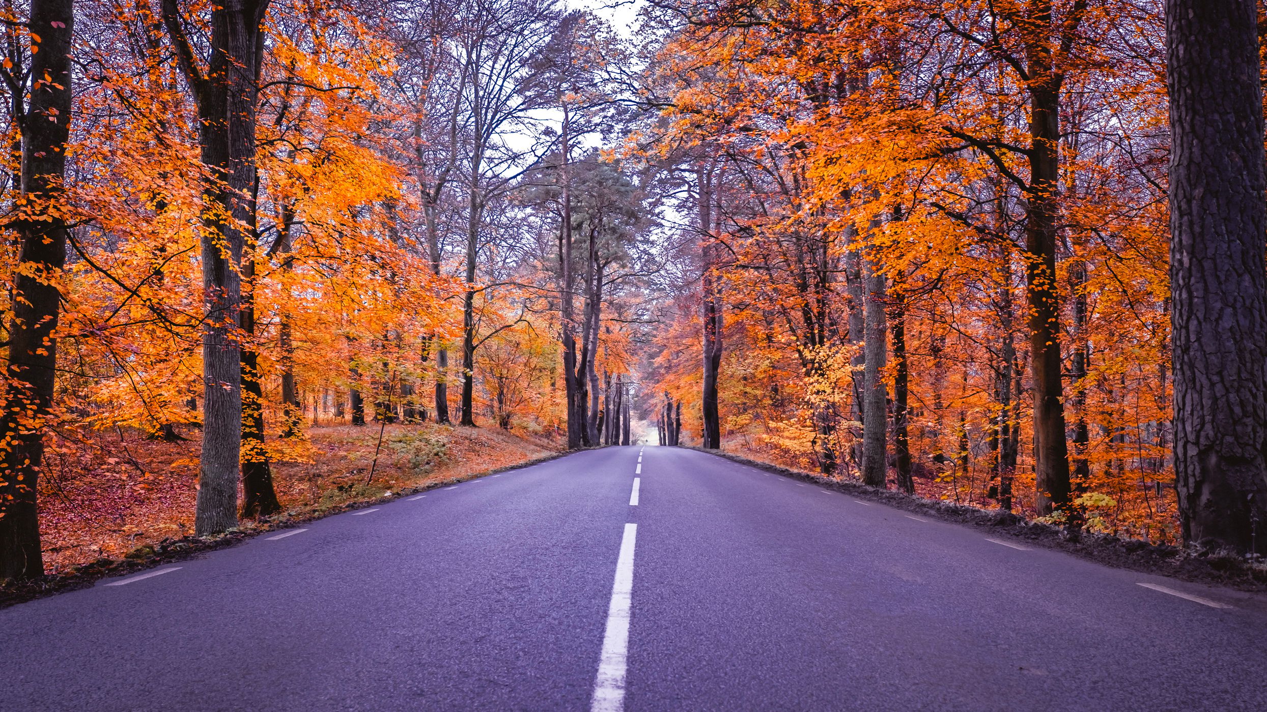 Söderåsen, Sweden