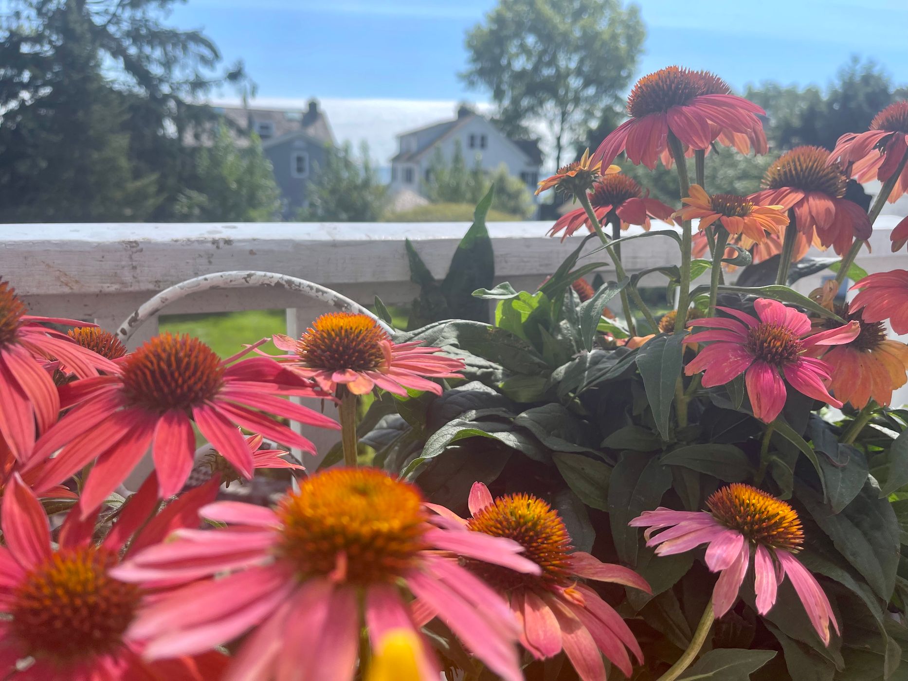 Southport Connecticut on Long Island Sound, USA