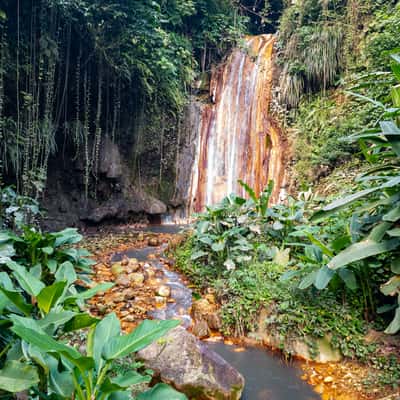 St Lucia, Diamond Falls Botanical Gardens, Soufriere, Saint Lucia