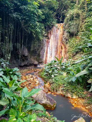 St Lucia, Diamond Falls Botanical Gardens, Soufriere