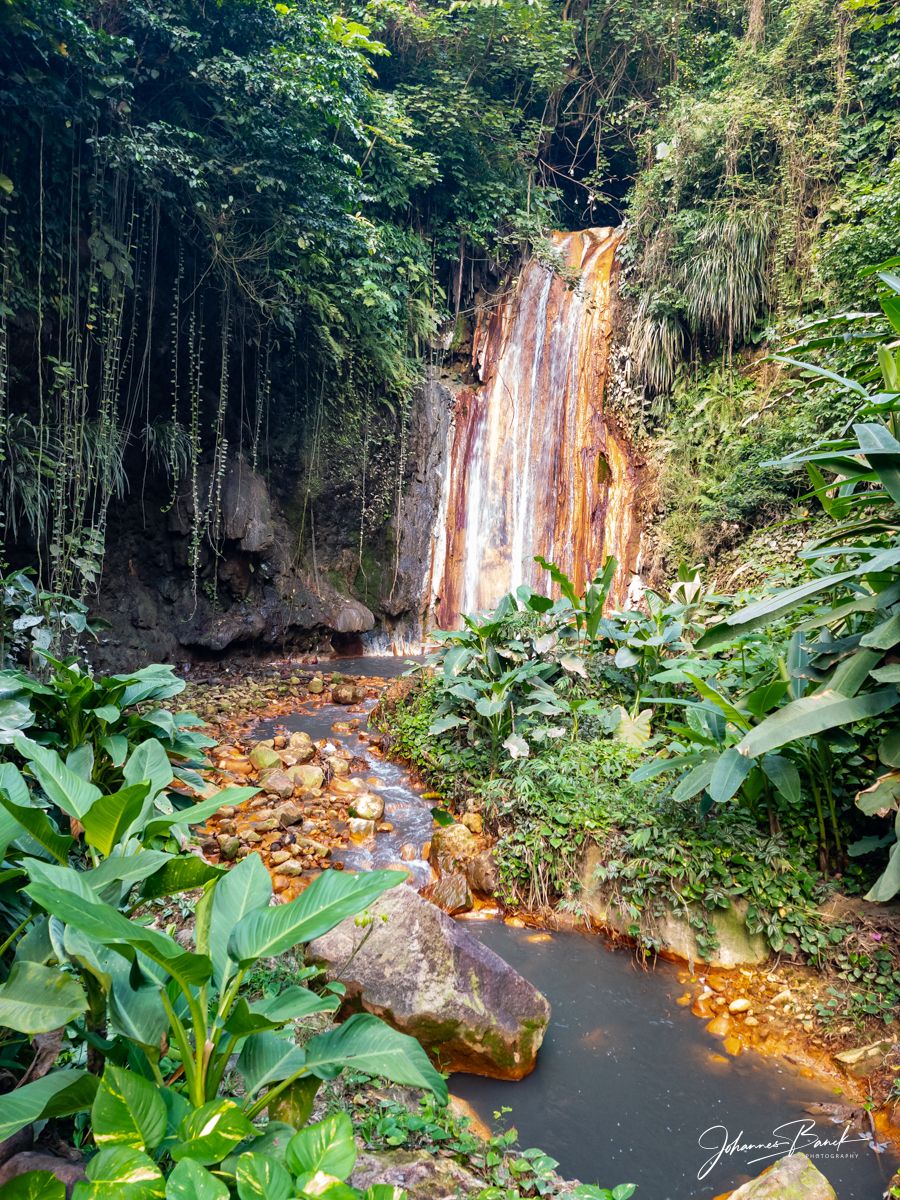 St Lucia, Diamond Falls Botanical Gardens, Soufriere, Saint Lucia