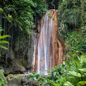 St Lucia, Diamond Falls Botanical Gardens, Soufriere, Saint Lucia