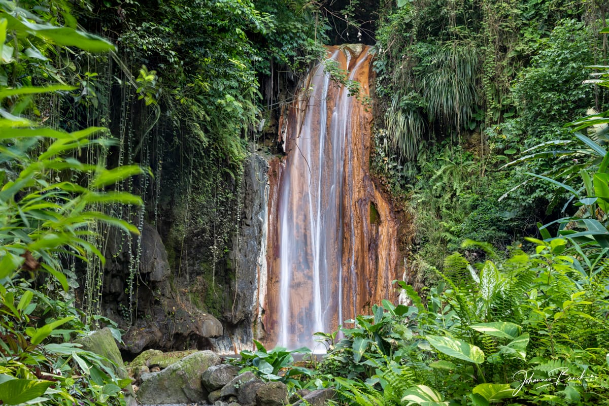 St Lucia, Diamond Falls Botanical Gardens, Soufriere, Saint Lucia