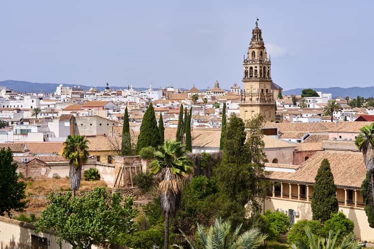 The Cathedral of Cordoba from the Alcazar de los Reyes