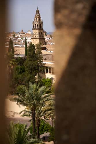 The Cathedral of Cordoba from the Alcazar de los Reyes
