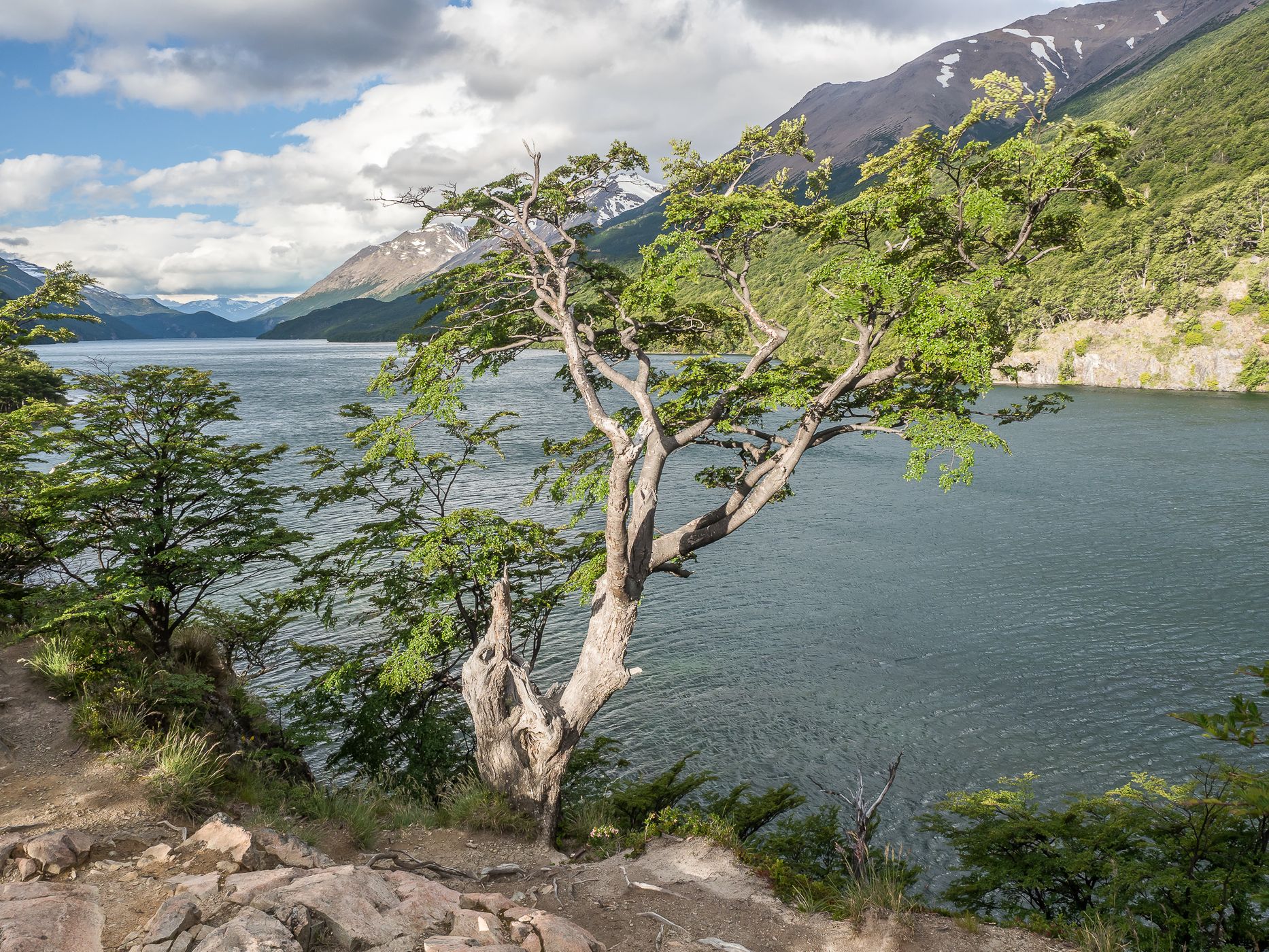 View at Lago del Desierto, Argentina
