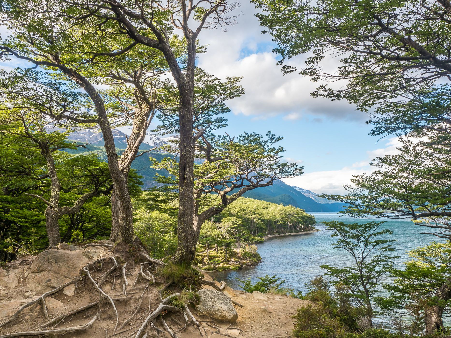 View at Lago del Desierto, Argentina