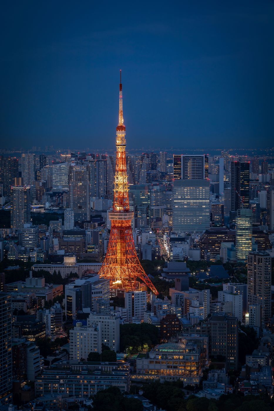 View of Tokyo Tower from Roppongi Tower, Japan