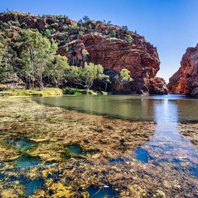 Water Hole Ellery Creek Big Hole, Northern Territory, Australia