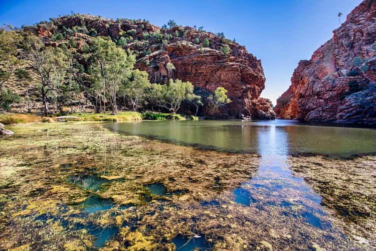 Water Hole Ellery Creek Big Hole, Northern Territory