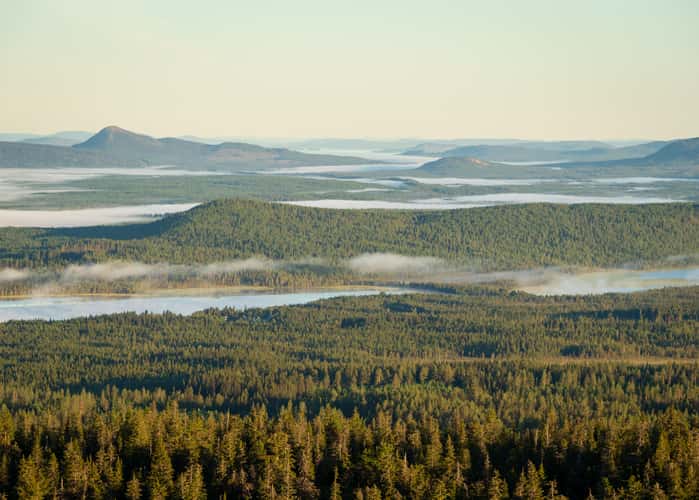 Akkanålke, Arvidsjaur