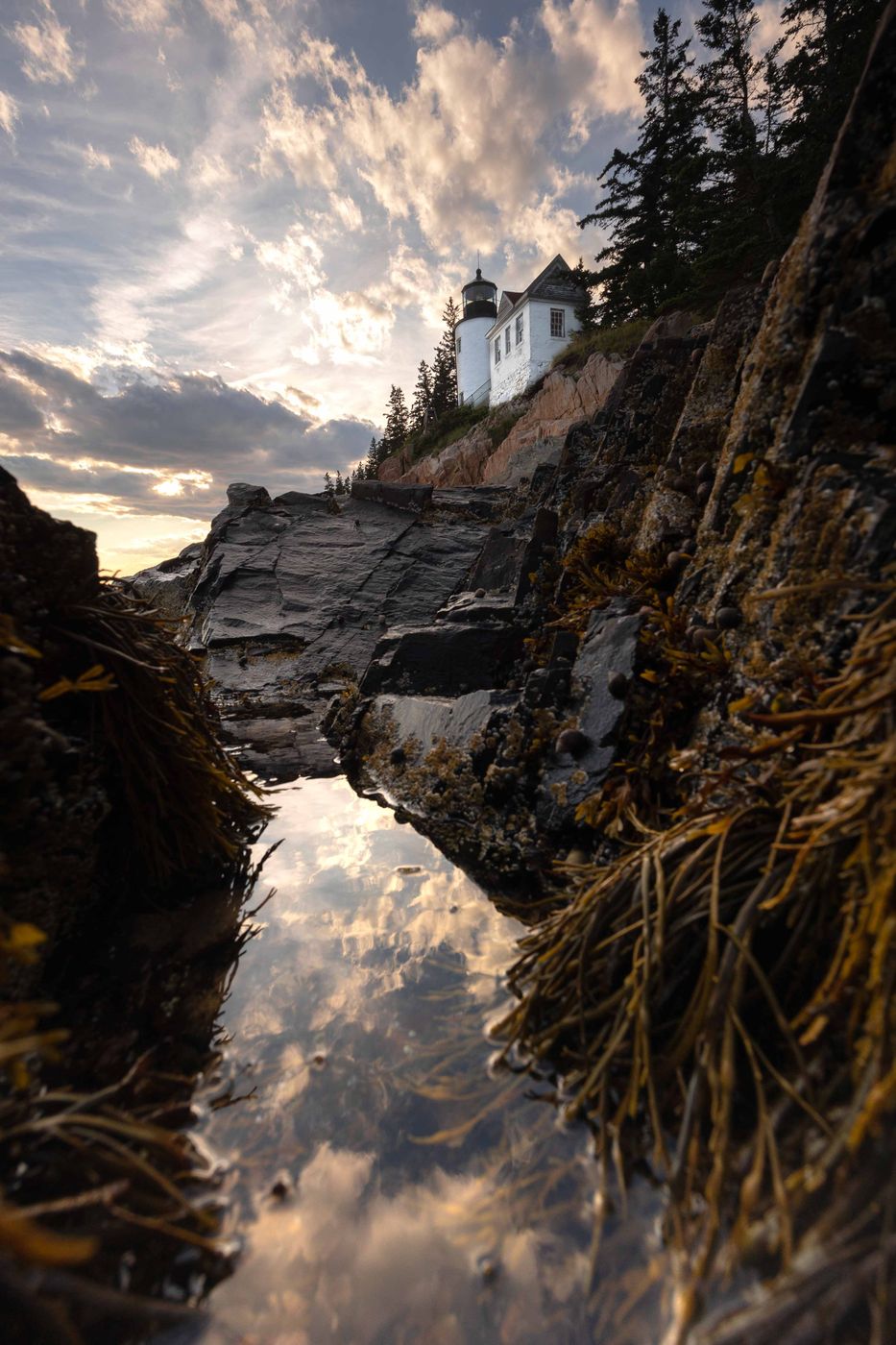 Cliff view of Bass Harbor Head Lighthouse, USA
