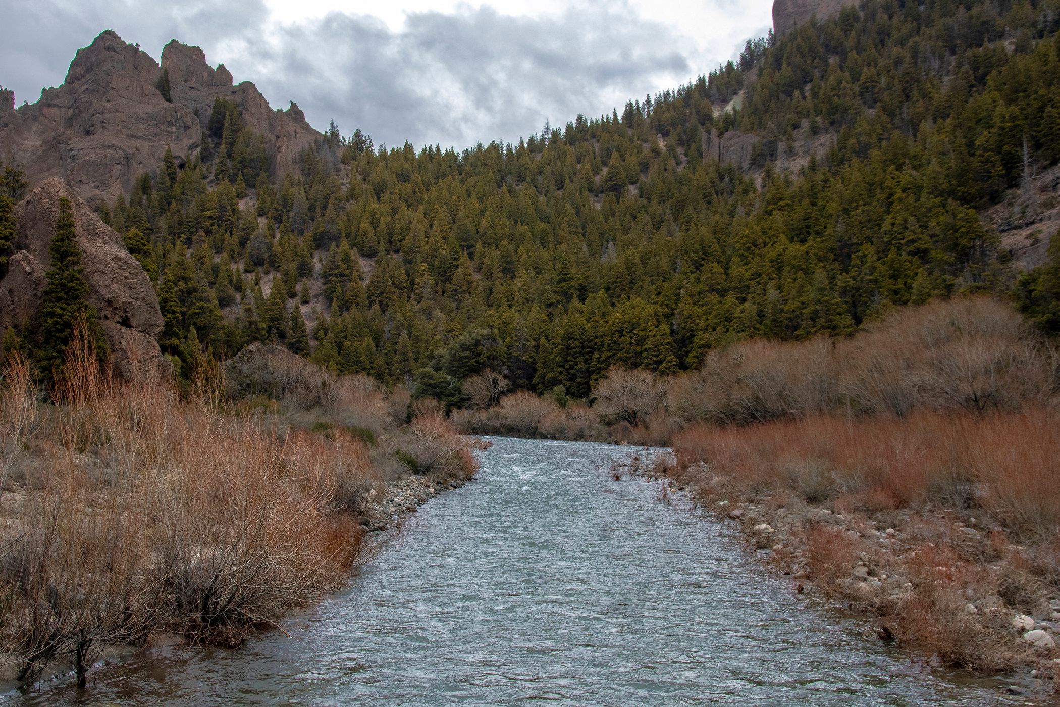Bridge over Rio Cuyin Manzano, Argentina