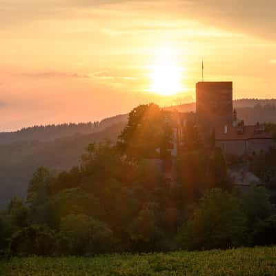 Burg Gamburg, Germany