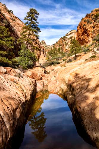Canyon in Zion’s East Side