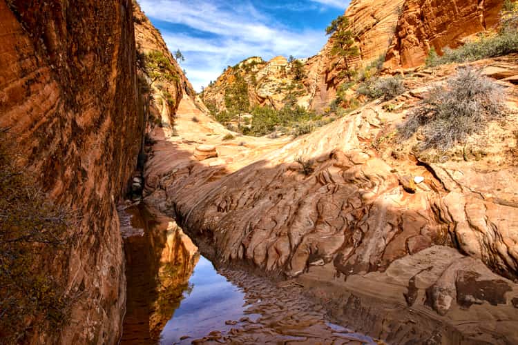 Canyon in Zion’s East Side
