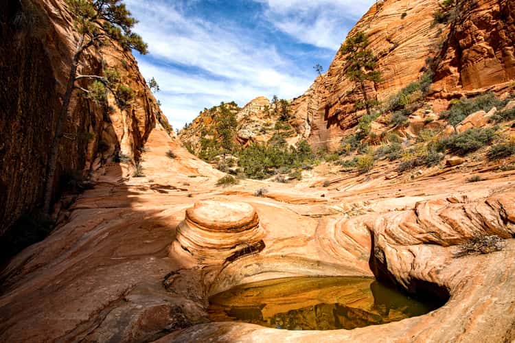Canyon in Zion’s East Side