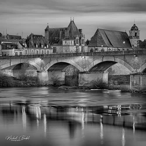 Castle of Amboise and La Loire
