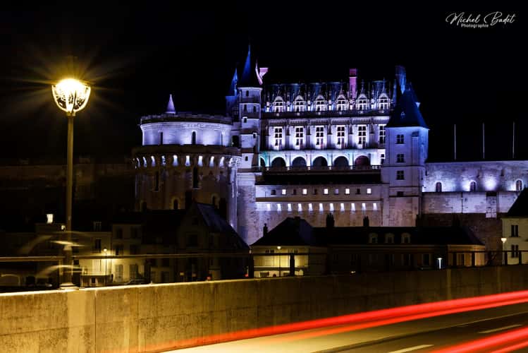 Castle of Amboise and La Loire