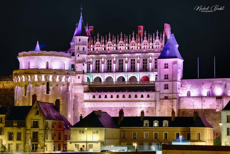 Castle of Amboise and La Loire