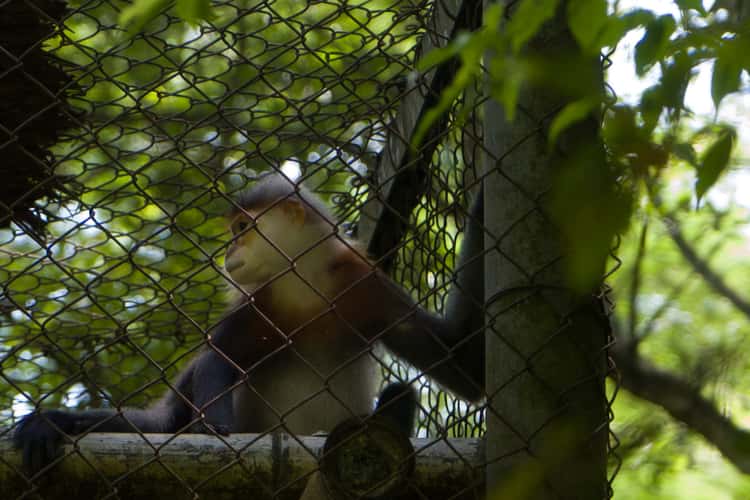Cuc Phuong National Park