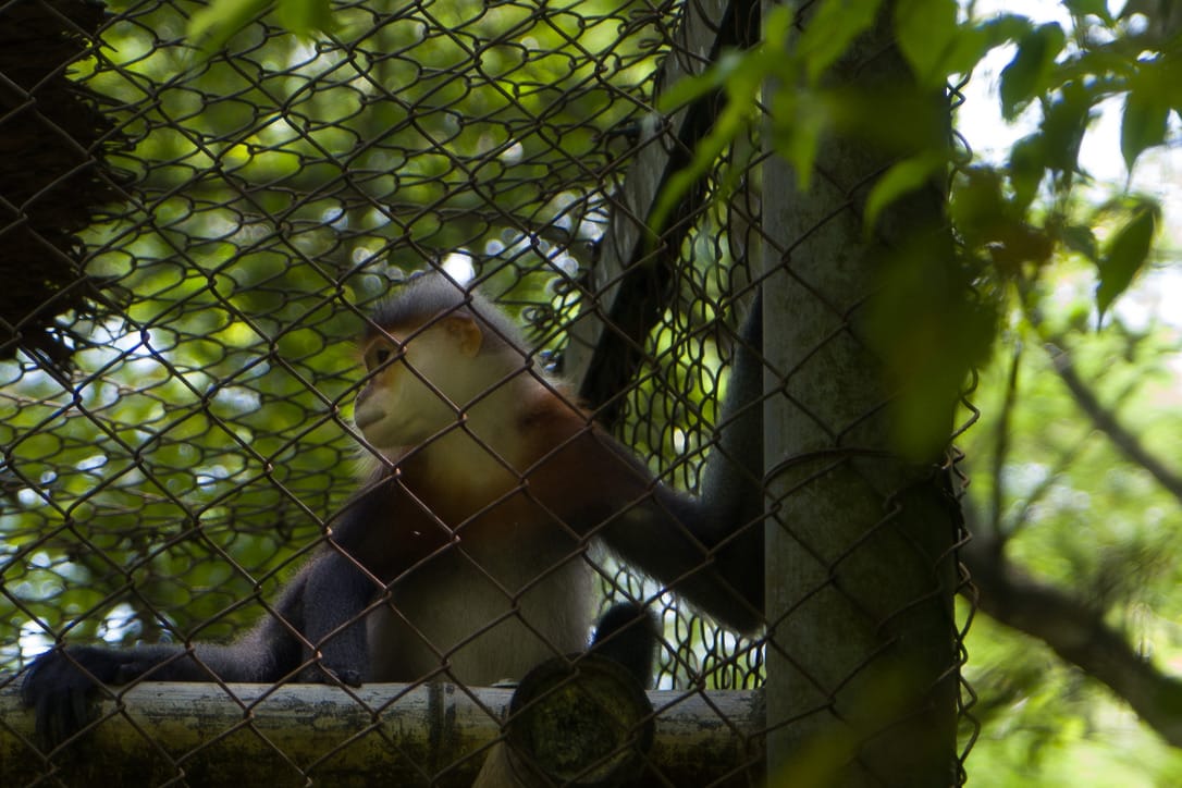 Cuc Phuong National Park, Vietnam