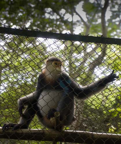 Cuc Phuong National Park