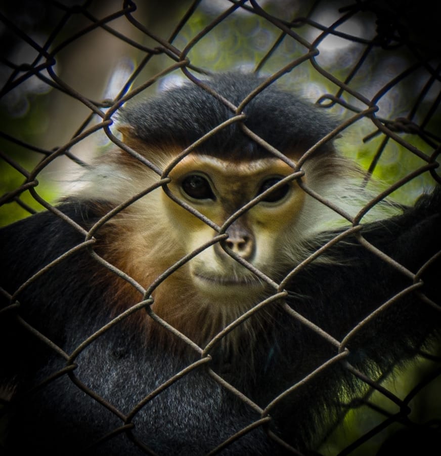 Cuc Phuong National Park, Vietnam