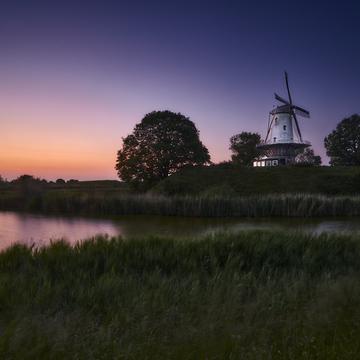 De Koe (Mill of Veere), Netherlands