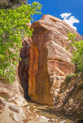 Entrance to the Kanarra Falls