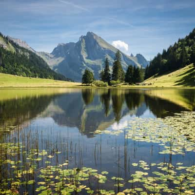 Gräppelensee, Switzerland