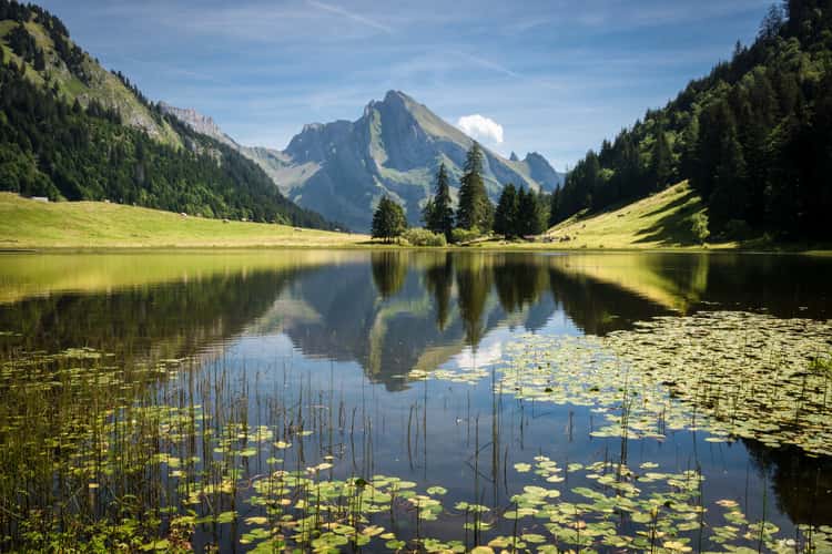 Gräppelensee