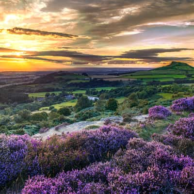 Gribdale Gate, United Kingdom