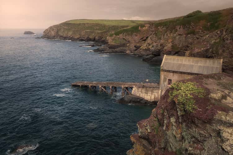 Lizard point