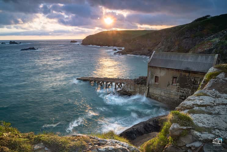 Lizard point