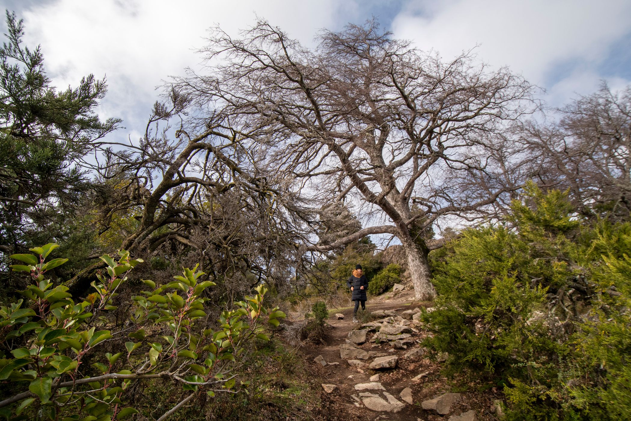 Mirador Bandurrias, Argentina