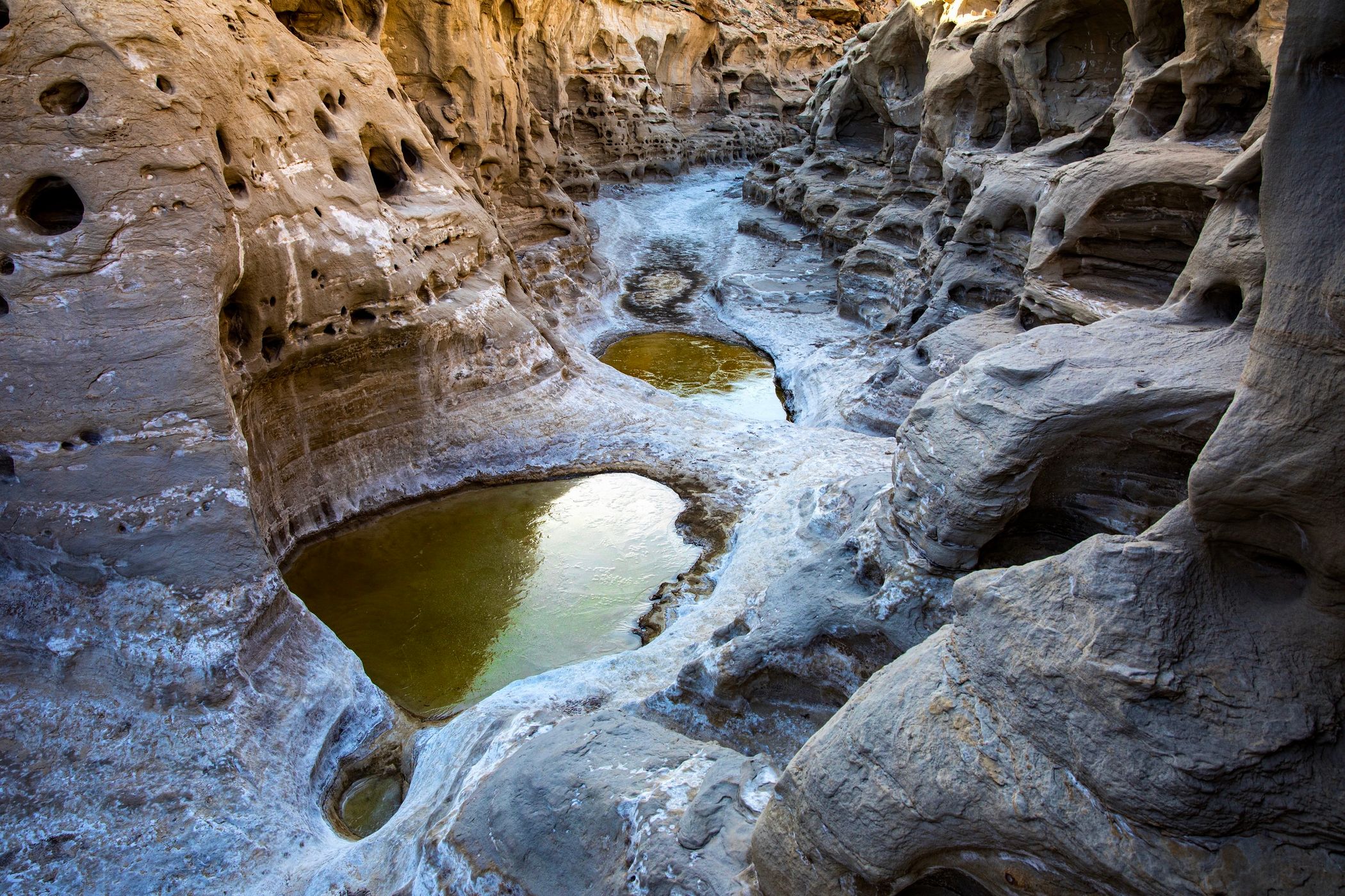 Neilson Wash, USA