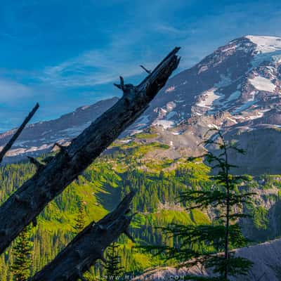 Nisqually Vista Trail, USA