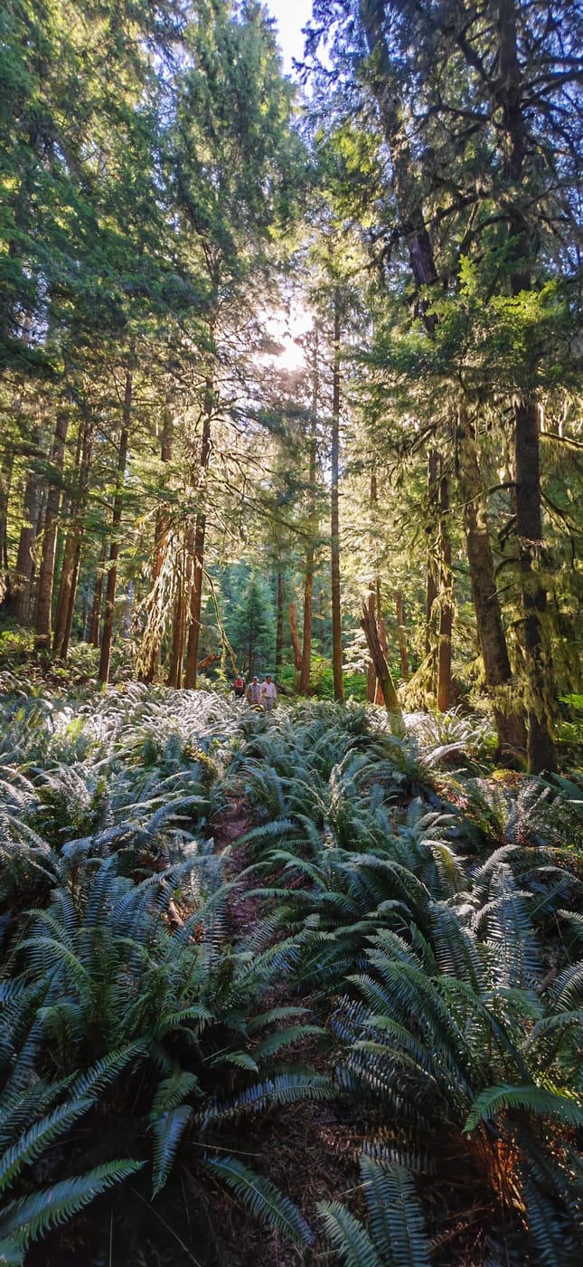 Quadra Island, Canada