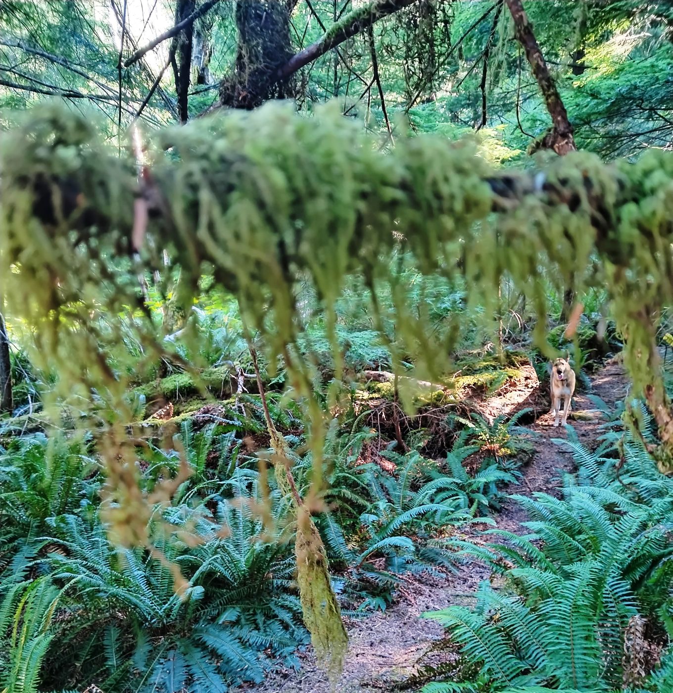 Quadra Island, Canada