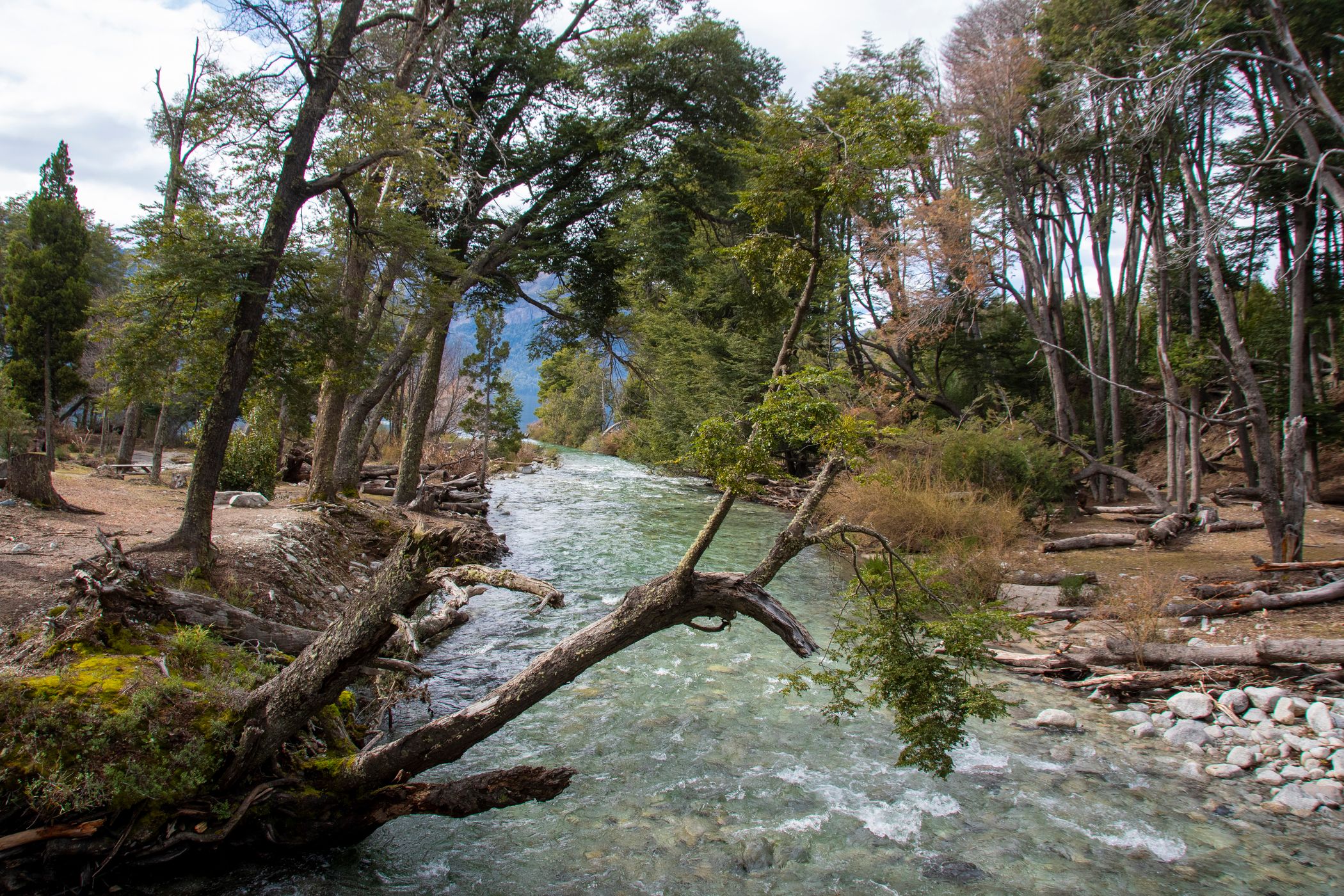River near Traful, Argentina