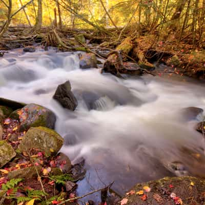 River side on Track and Tower Trail, Canada