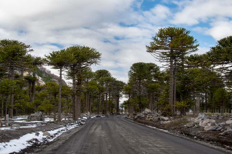 Road to Vulcan Lanin