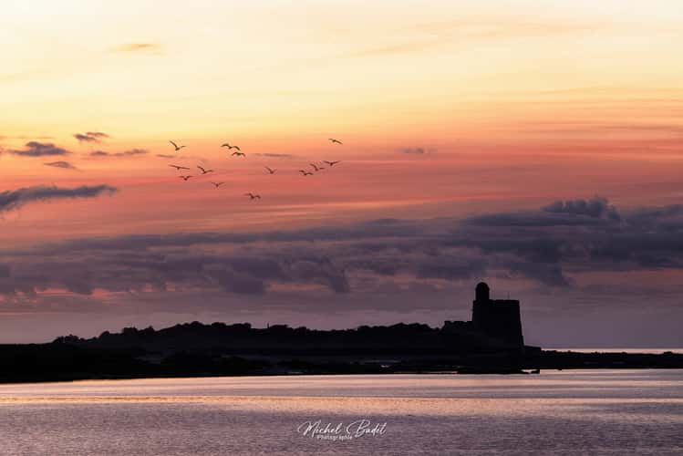 Saint-Vaast-La-Hougue