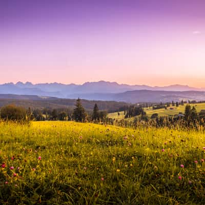 Tatra Mountains from Łapszanka Pass, Poland, Poland